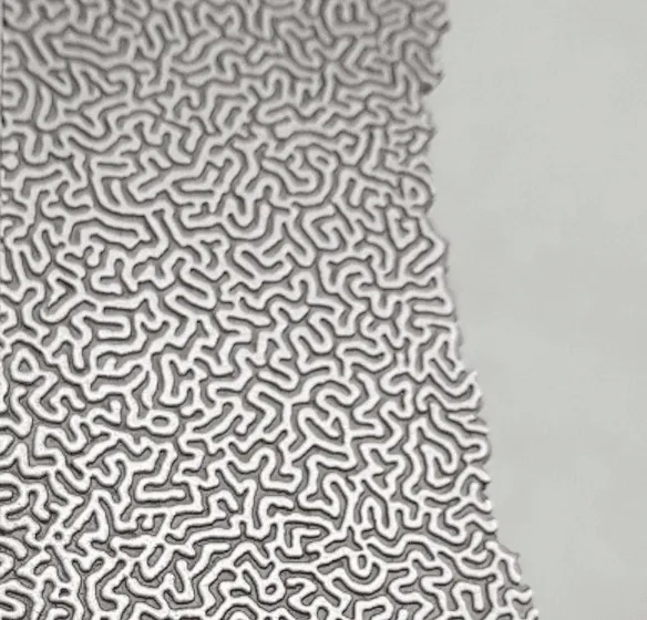 Titomic: metal surface with an organic maze pattern